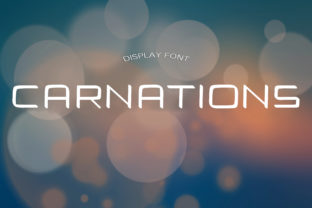 Carnations: A Modern Display Font for Clear and Confident Communication